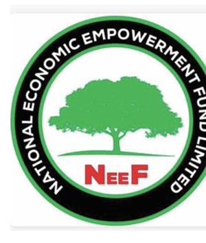 National Economic Empowerment Fund