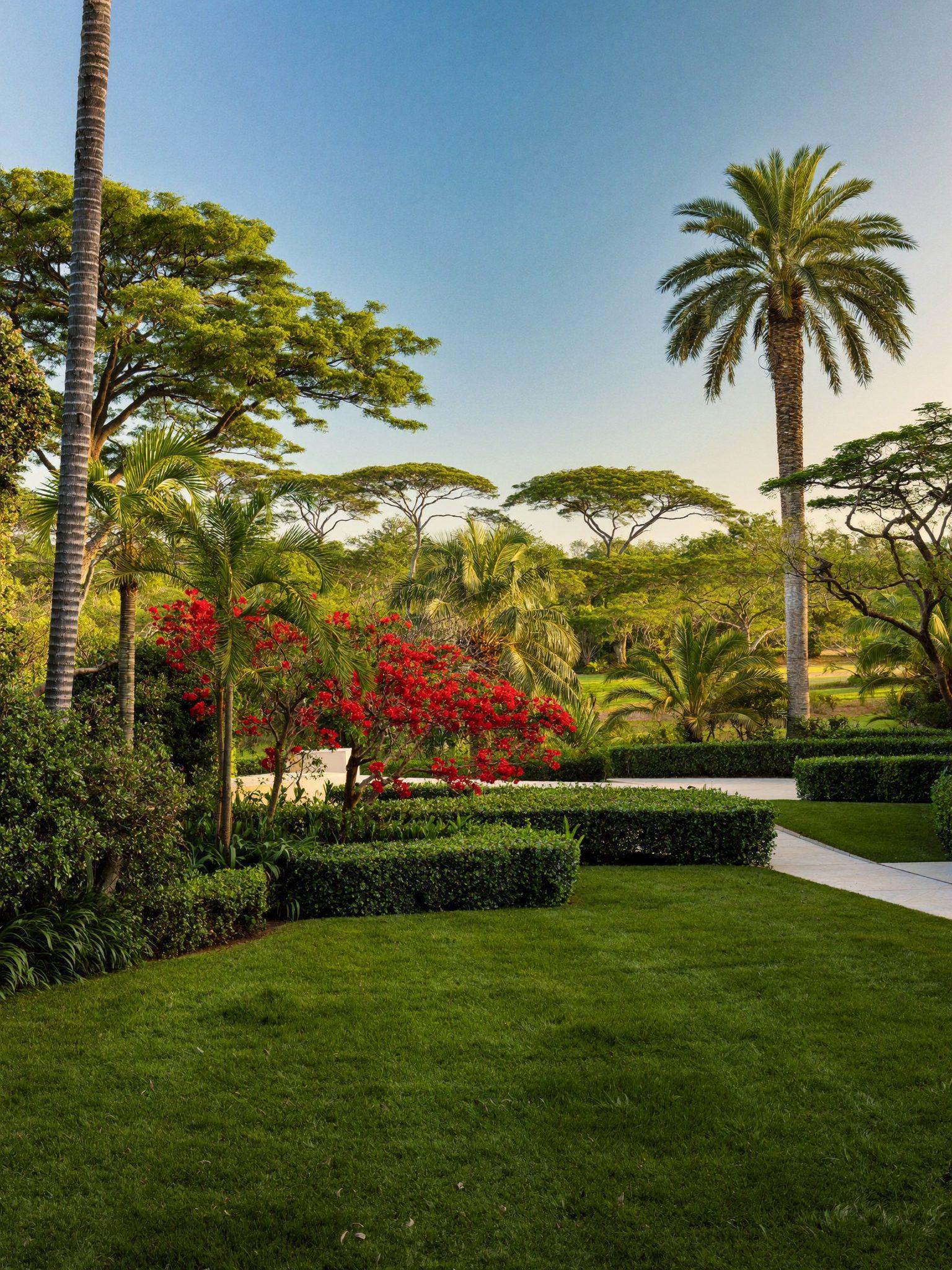 Beautifully landscaped garden